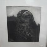 502 8301 ETCHING